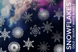 Snowflake Vector Bundle