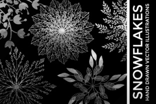 Winter Vector Snowflake Graphics: Elegant Illustrations for Real Publishing